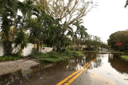 hurricane aftermath in florida