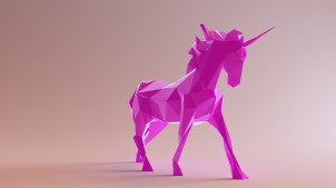 pink unicorn