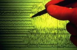 seismogram