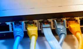 Photograph of blue and yellow ethernet cables connected to a computer network