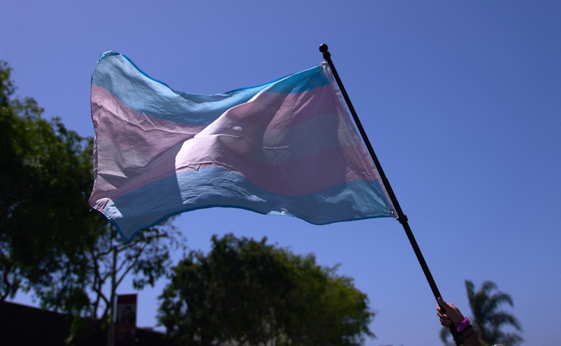 trans flag