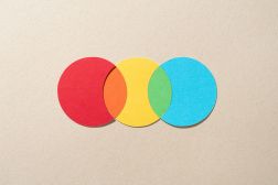 construction paper Venn diagram