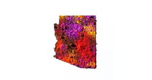 Arizona color map