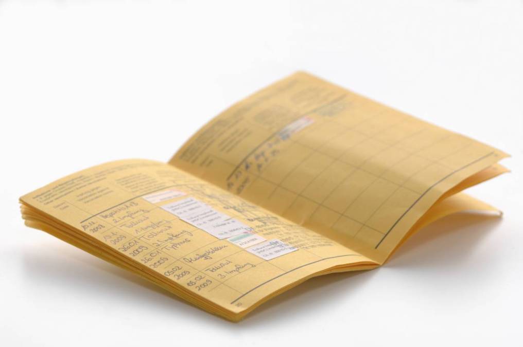 immunization vaccination book