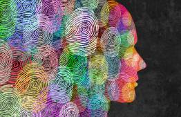 fingerprints