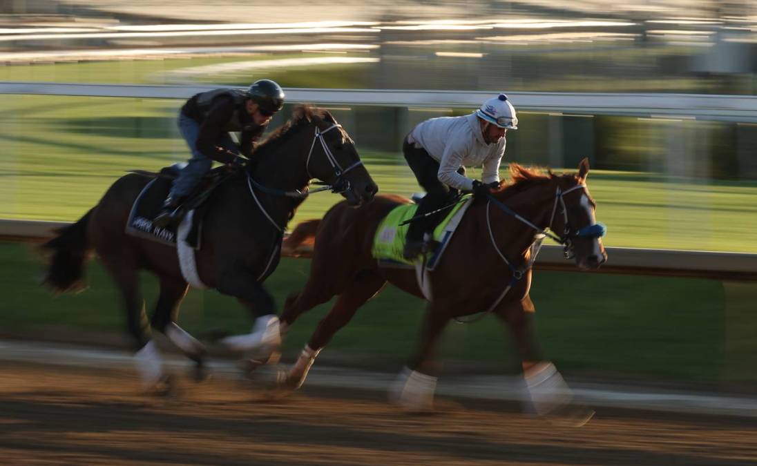 Kentucky Derby horsies